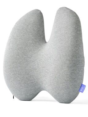 Cushion Lab Back Relief Lumbar Pillow